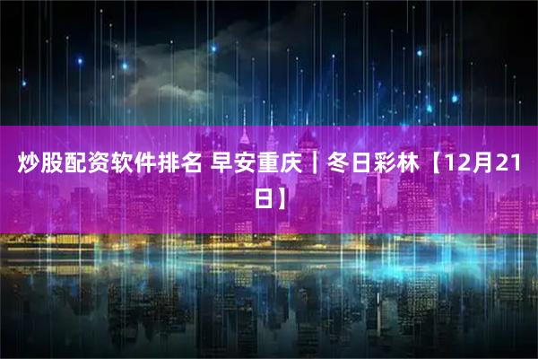 炒股配资软件排名 早安重庆｜冬日彩林【12月21日】