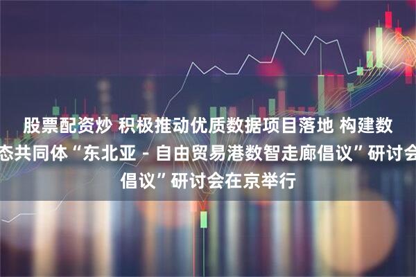 股票配资炒 积极推动优质数据项目落地 构建数智经济生态共同体“东北亚－自由贸易港数智走廊倡议”研讨会在京举行